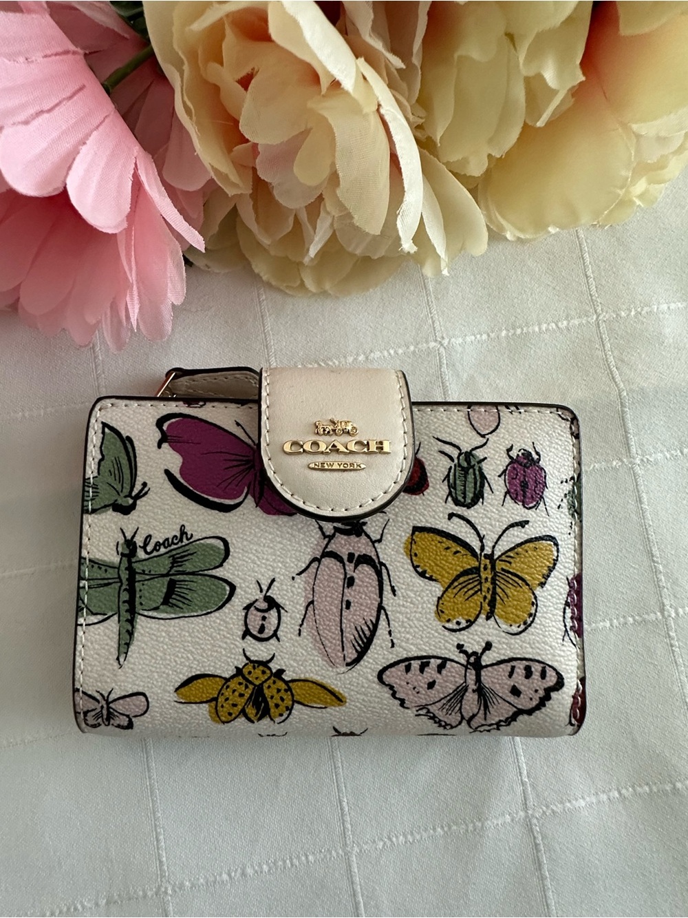 COACH Ivory Butterfly & Insect Print Small Wallet